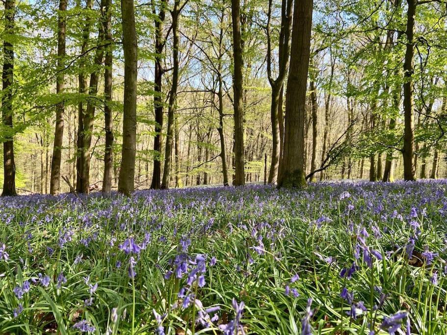 The Chaff House Country Cottage Welsh Newton Common エクステリア 写真